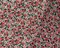Red-Multi Poly Stripe Floral Border Printed Dobby Chiffon Woven Fabric By the Yard